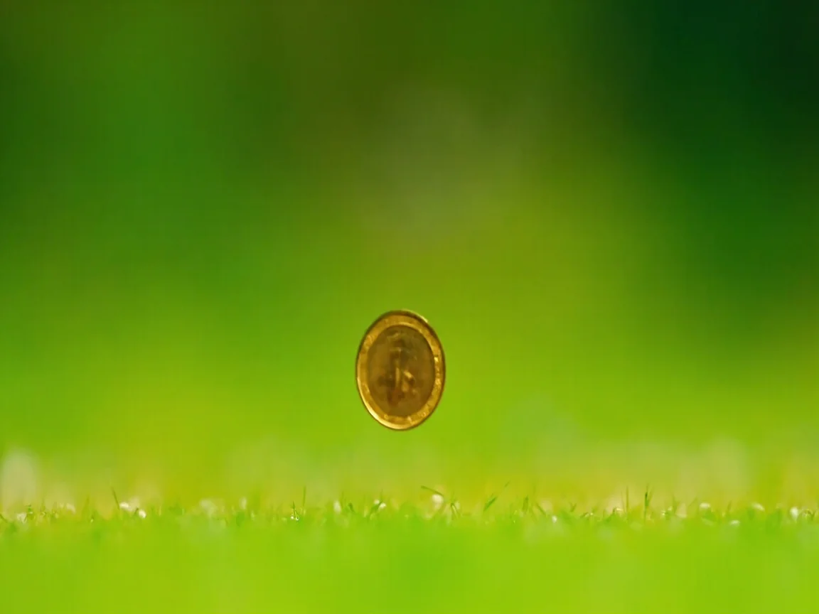 Pre-toss to deadline prediction workflow editorial illustration